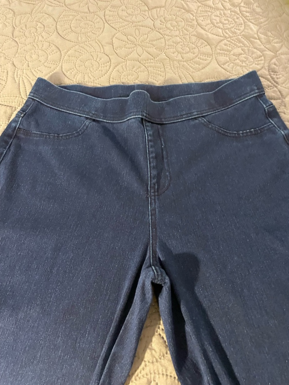 Time and Tru Dark Indigo Stretch Jeggings